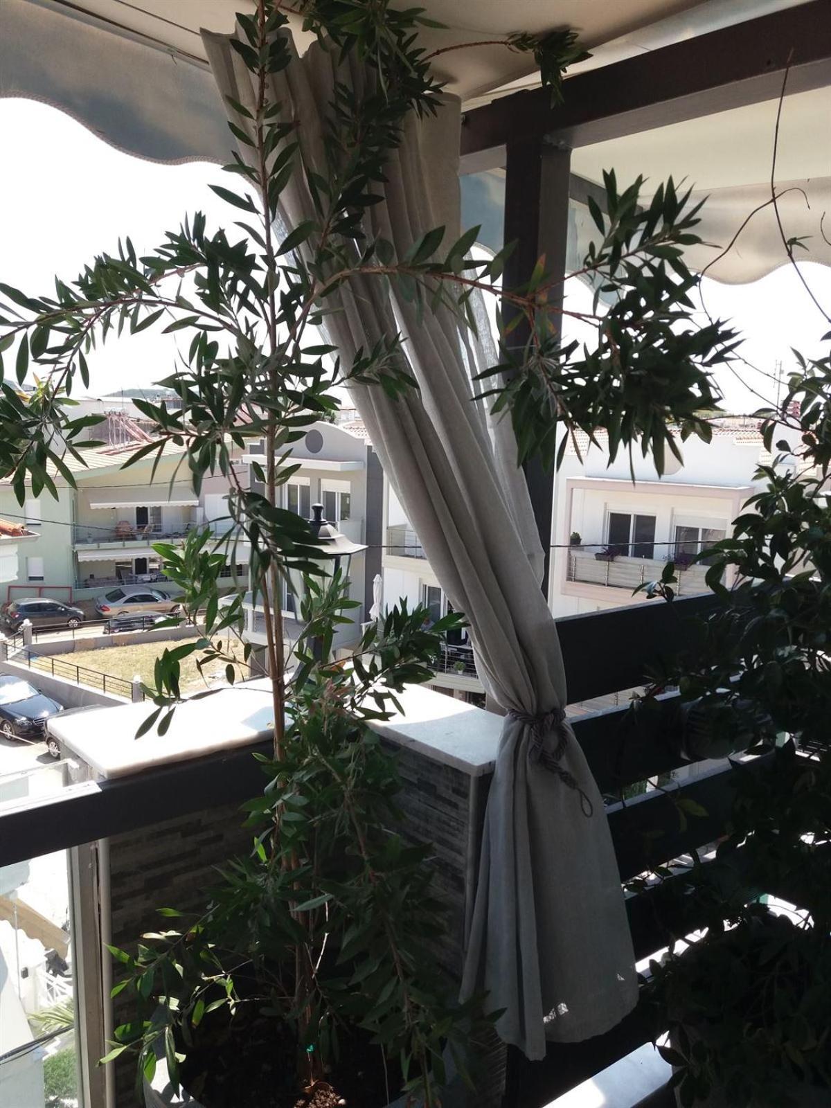 Green House Nea Peramos  Ngoại thất bức ảnh