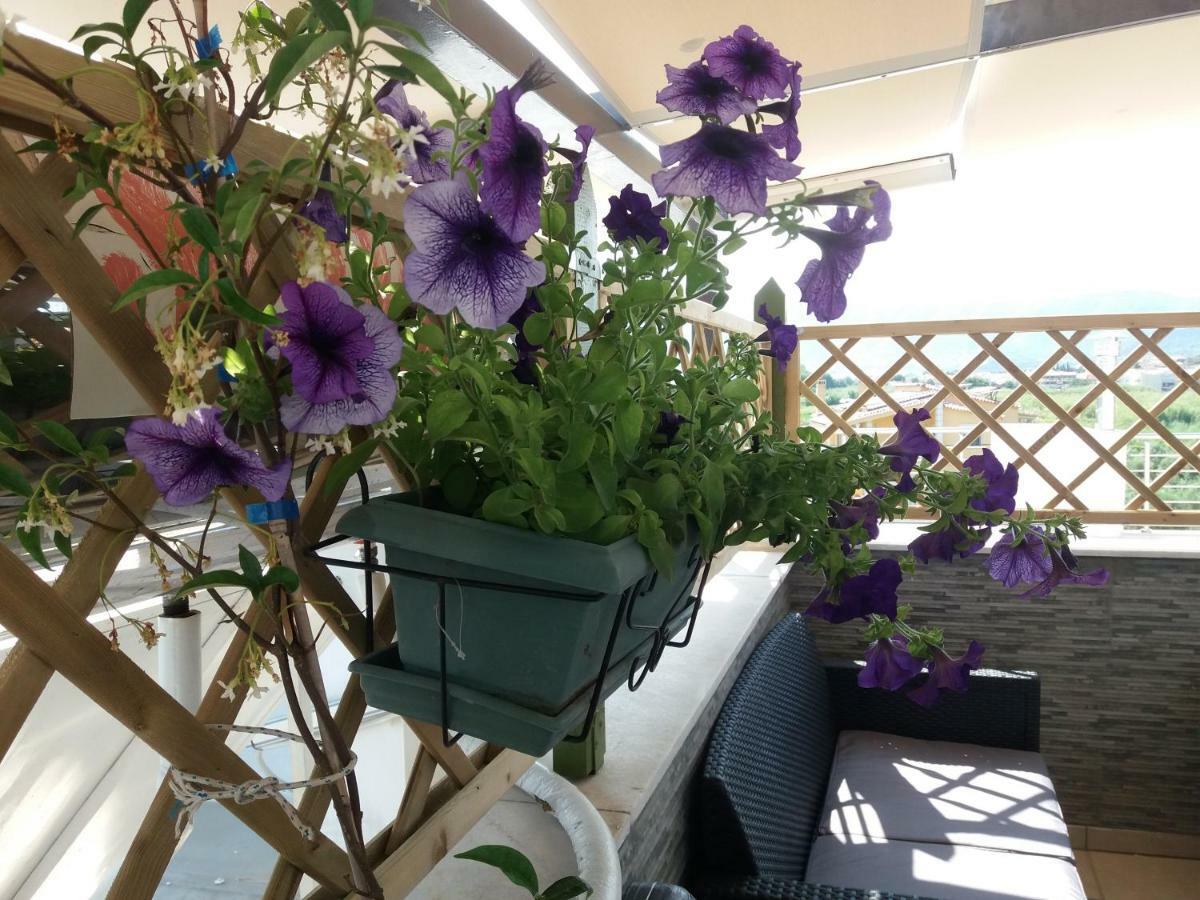 Green House Nea Peramos  Ngoại thất bức ảnh